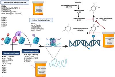 Noncoding rules of survival: epigenetic regulation of normal and malignant hematopoiesis